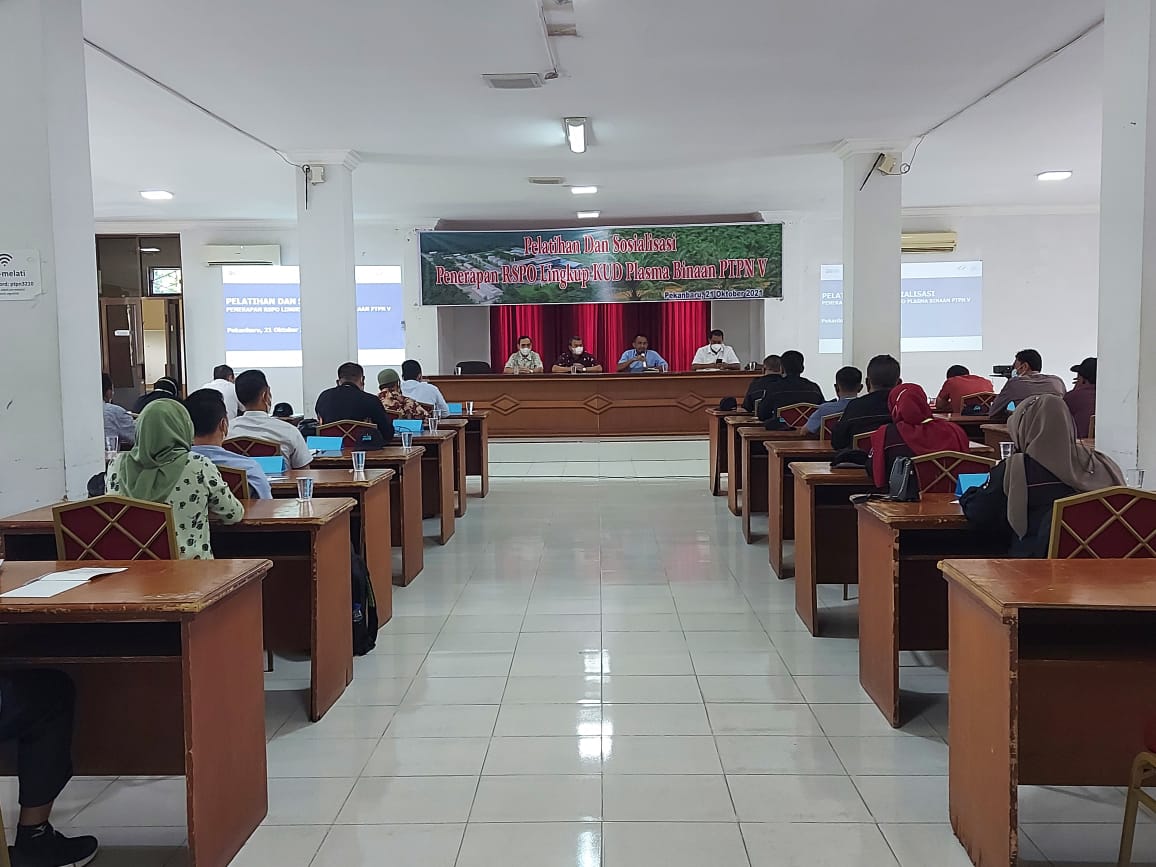 PTPN V Dorong 2.436 Hektare Sawit Petani Mitra Binaan Sertifikasi RSPO