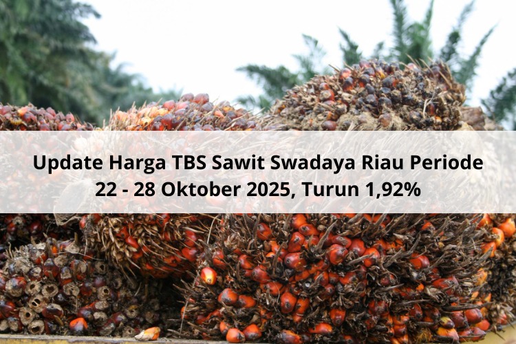 Update Harga TBS Sawit Swadaya Riau 22 – 28 Oktober 2025, Turun 1,92%