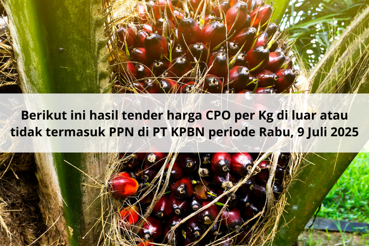 Di Talang Duku, Harga CPO Naik Rp 125 dari Hasil Tender PT KPBN Periode 9 Juli 2025