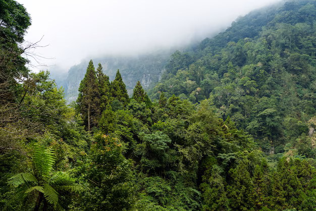 Penyelesaian Sertifikat Hak Atas Tanah yang Terindikasi dalam Kawasan Hutan