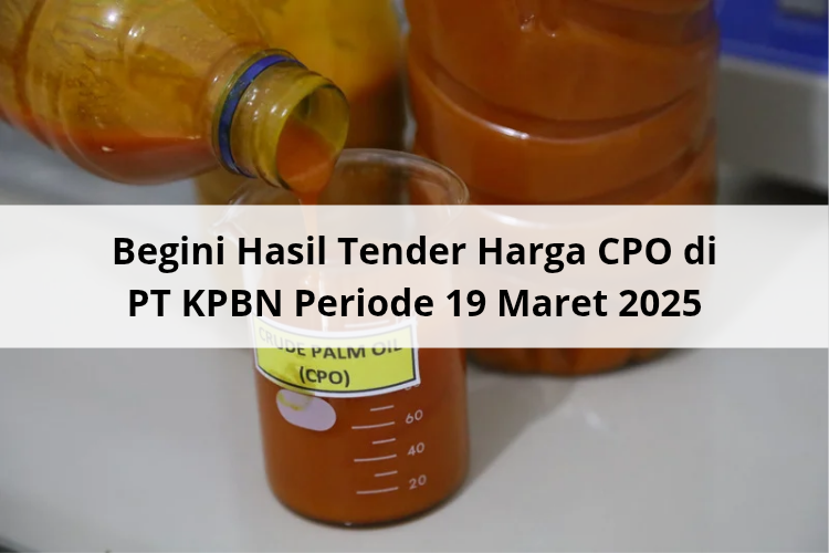 Begini Hasil Tender Harga CPO di PT KPBN Periode 19 Maret 2025