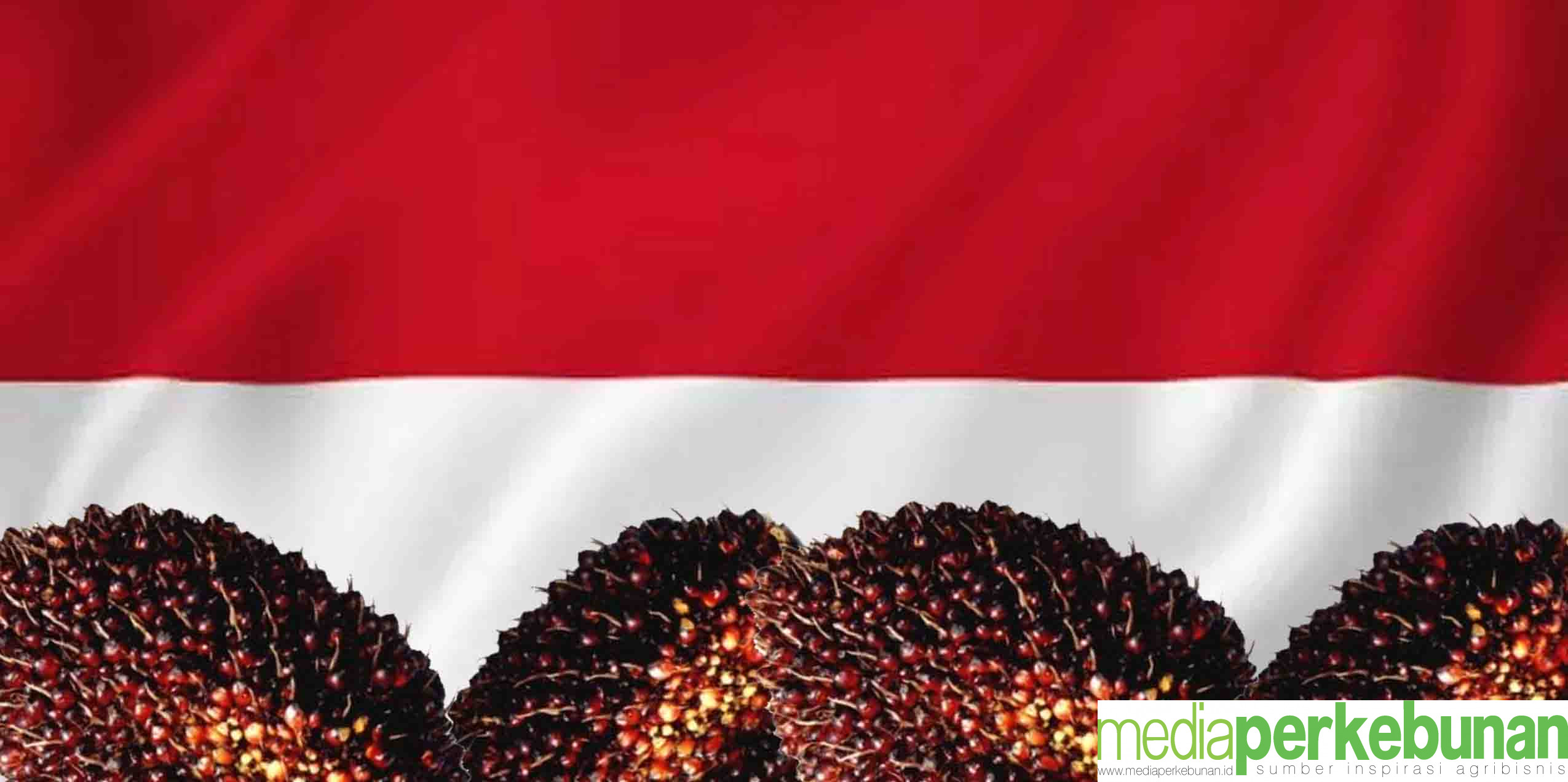 Kelapa Sawit Tangguh Hadapi Tiga Keadaan Darurat