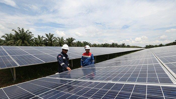 Lanjutkan Kerjasama, Pertamina dan Holding PTPN Sepakat Lakukan Ini di KEK Sei Mangkei