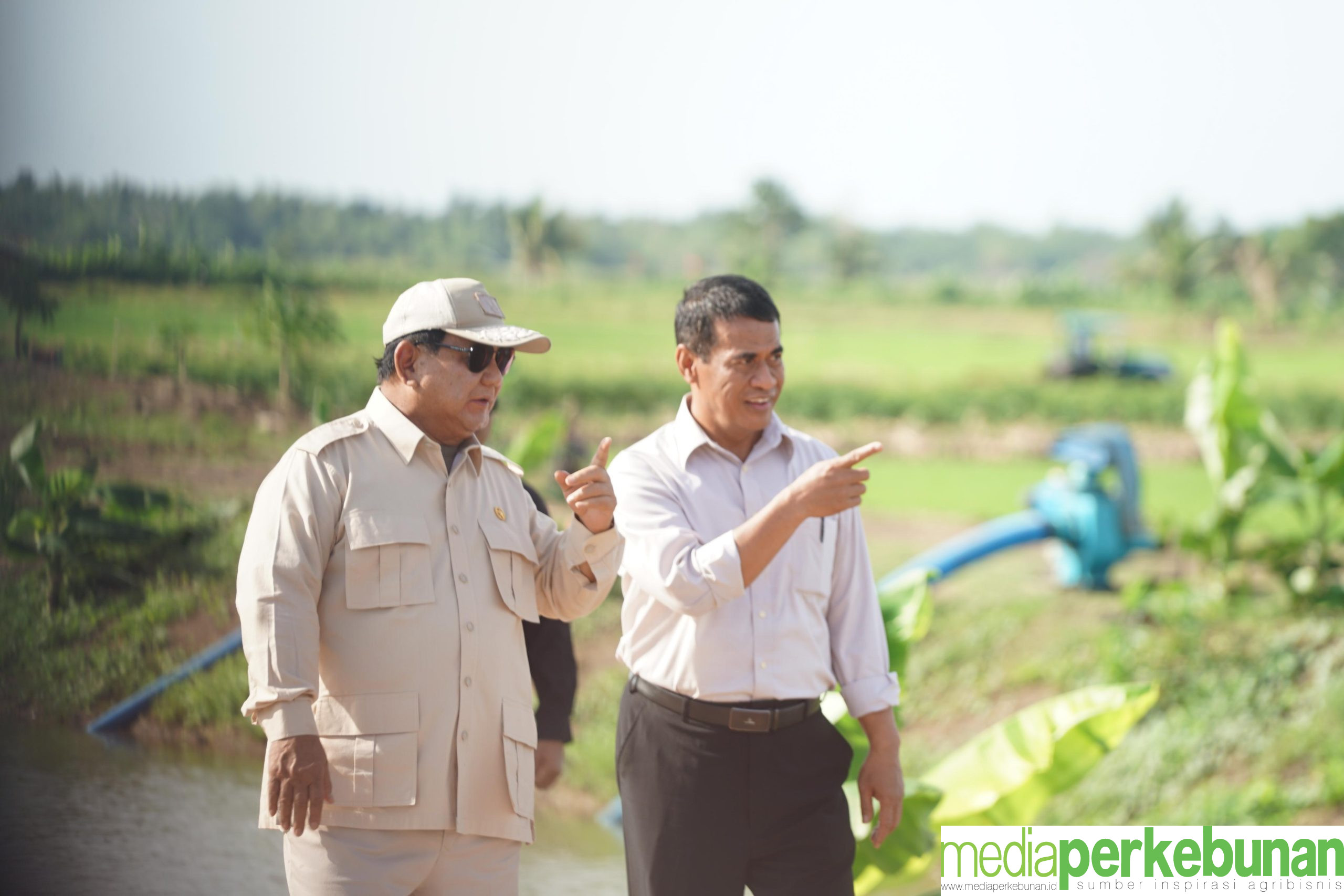 Mentan Amran Dampingi Presiden Prabowo Kunjungan Perdana ke Lahan Pertanian Merauke
