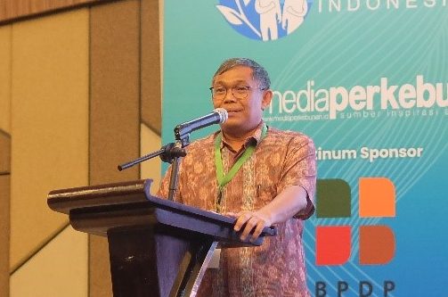 ICCE, Ajang Urun Rembuk Sinkronkan Hulu Hilir Kelapa