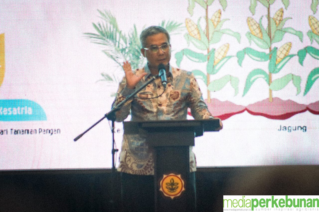 Kementan Optimalkan Produksi Jagung Lewat Program Kesatria
