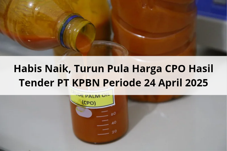 Habis Naik, Turun Pula Harga CPO Hasil Tender PT KPBN Periode 24 April 2025