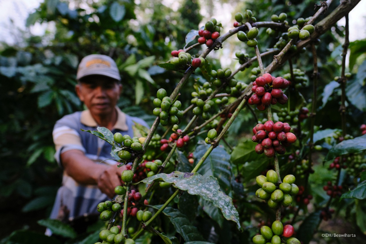 Tingkat Pengetahuan Petani Terhadap Atribut Benih Kopi