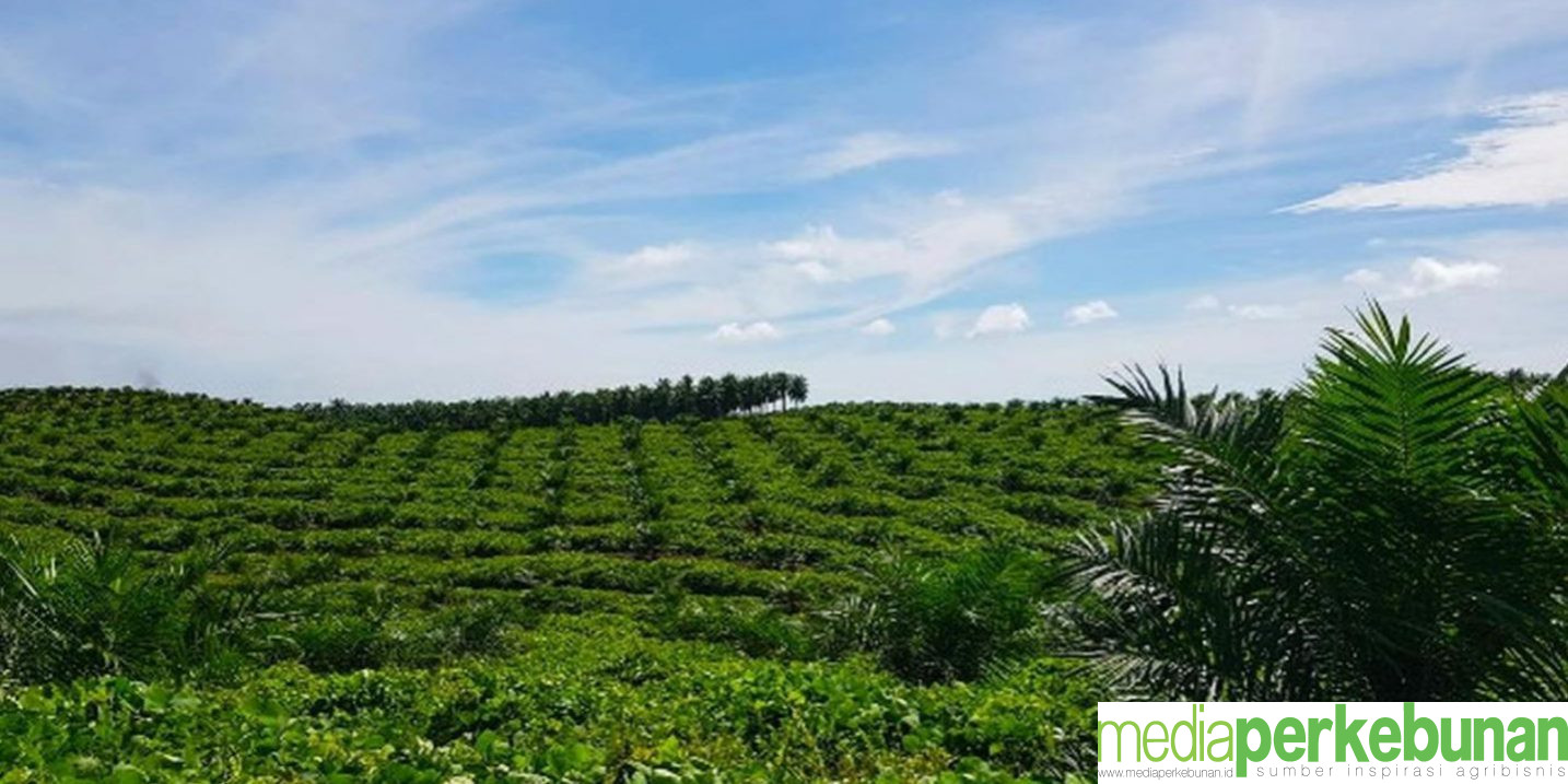 Astra Agro Terus Dorong Gunakan Pupuk Organik