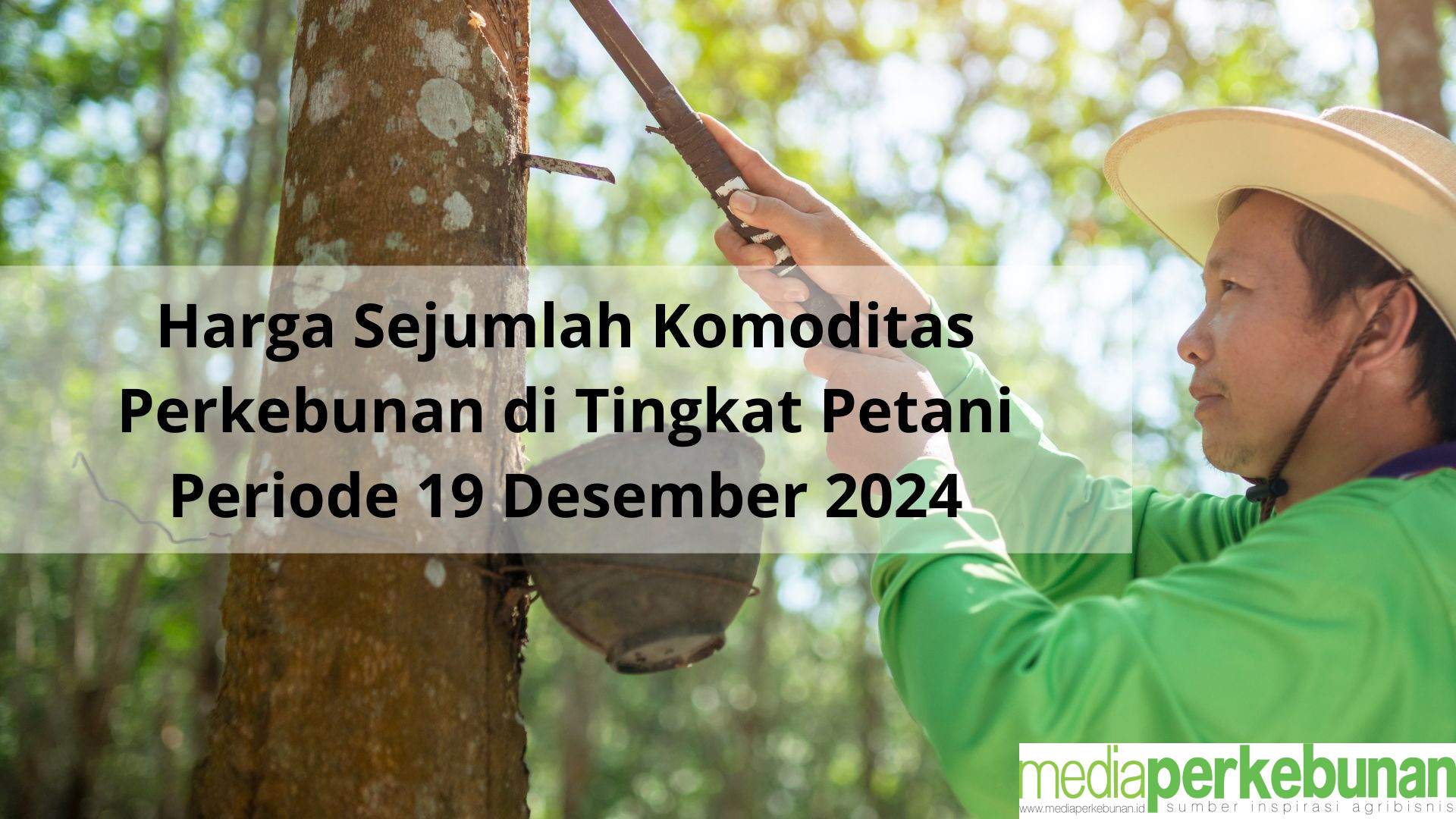 Harga Sejumlah Komoditas Perkebunan Tingkat Petani 19 Desember 2024