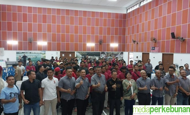 Pekerja Sawit Indonesia