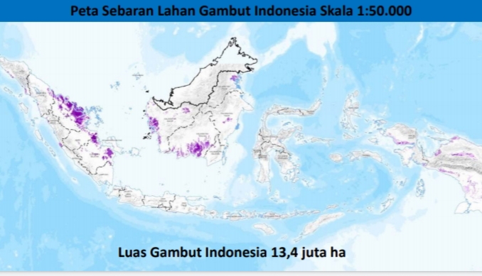 Pemutakhiran Peta Gambut Mestinya Setiap 5-10 tahun