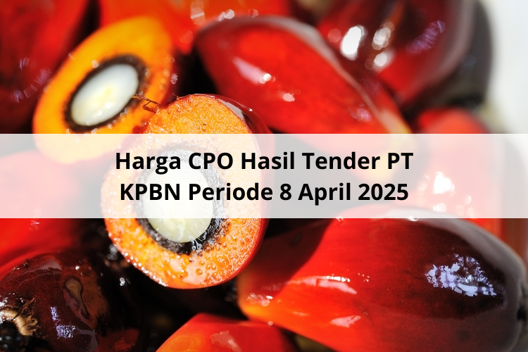 Masih Ngos-ngosan Harga CPO Hasil Tender PT KPBN Periode 8 April 2025