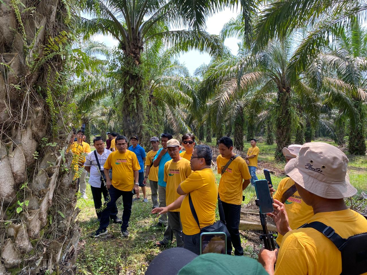 Ganoderma Makin Mengganas, Perkumpulan Petani Sadar Ganoderma Ingin Hadir di 3rd ISGANO 2026