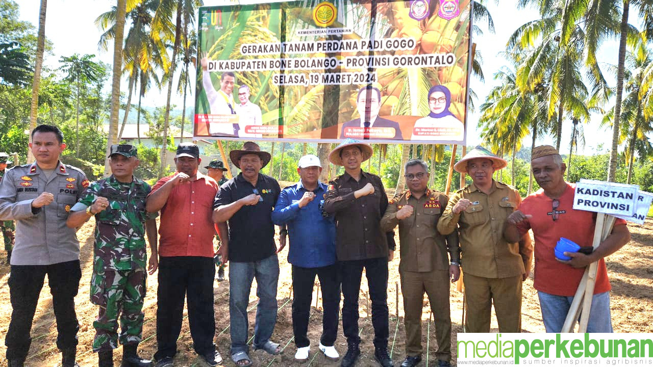 Kementan Kick Off Padi Gogo Lagi, Kali Ini di Bone Bolango