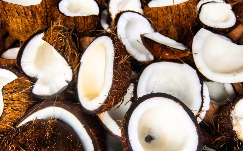 Pemkab Inhil dan BRIN Teken NKS Terkait Kelapa Bulat