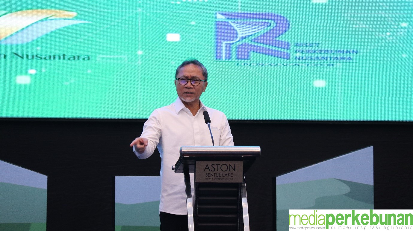 Intercropping Padi Gogo di Lahan PSR Dukung Wujudkan Swasembada Pangan