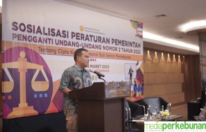 DITJENBUN SOSIALISASI PERPU 2 /2022, PANGKAS DAN MUDAHKAN IZIN BERUSAHA PERKEBUNAN