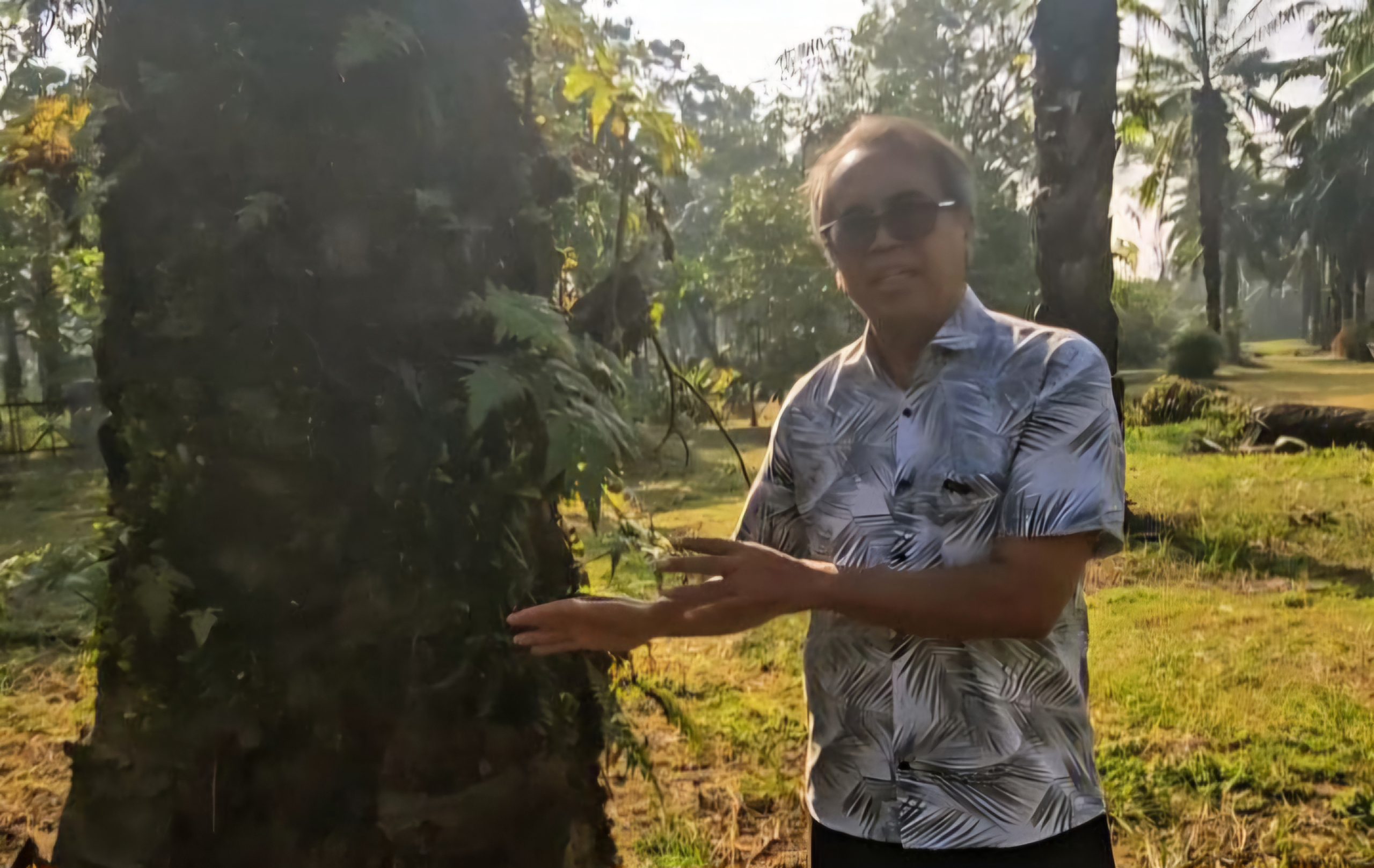 Serangan Ganoderma di Sumut Sudah Begitu Endemik