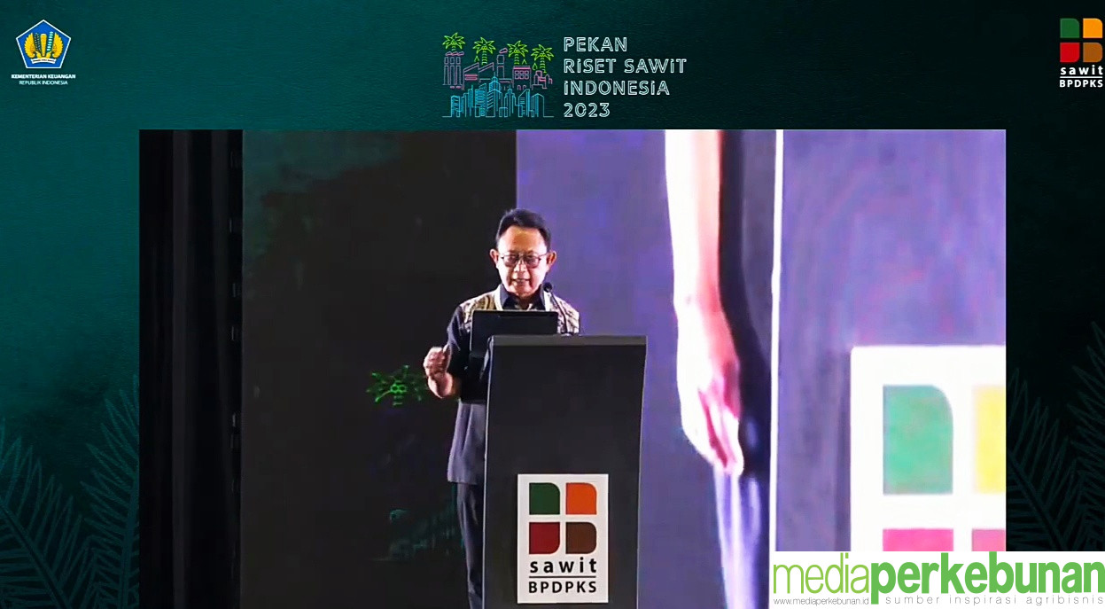 GAPKI : Ganoderma, Ancaman Nyata Kelapa Sawit