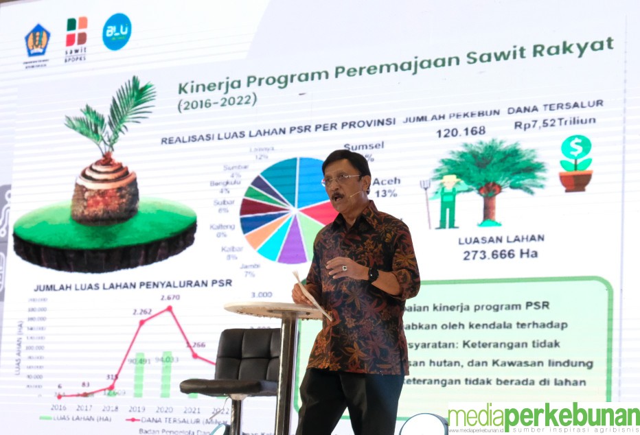 Pungutan Ekspor Sawit 2022 Capai Rp 34,5 Triliun
