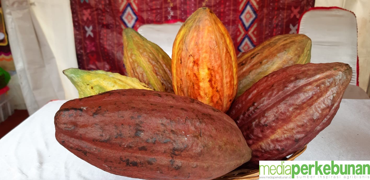Pergeseran Paradigma Rantai Pasok Kakao dan Coklat
