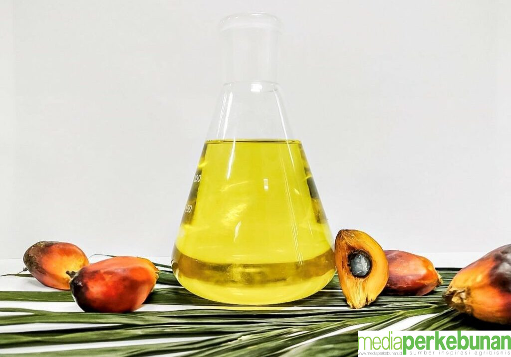 Begini Harga CPO Hasil Tender PT KPBN Periode 7 Januari 2025