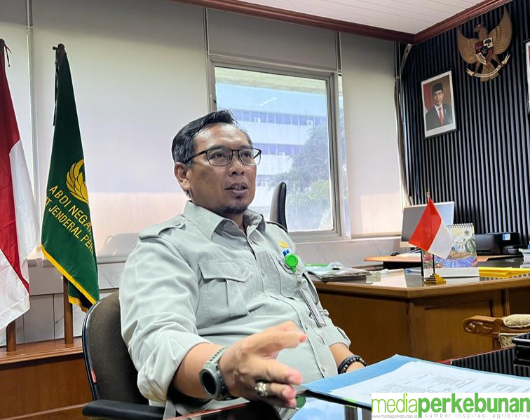 TAHUN 2023 DIRJENBUN KELUARKAN SP2BKS UNTUK 170 JUTA KECAMBAH SAWIT