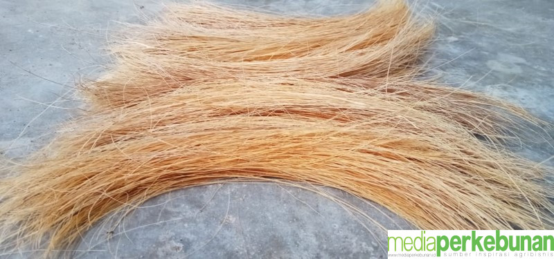 Market Cocopeat Tumbuh, Cocofiber Stagnan