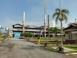 Sesekali Ikut Tender PT KPBN, Harga CPKO dari Pabatu Berakhir WD pada Periode 3 Juni 2025