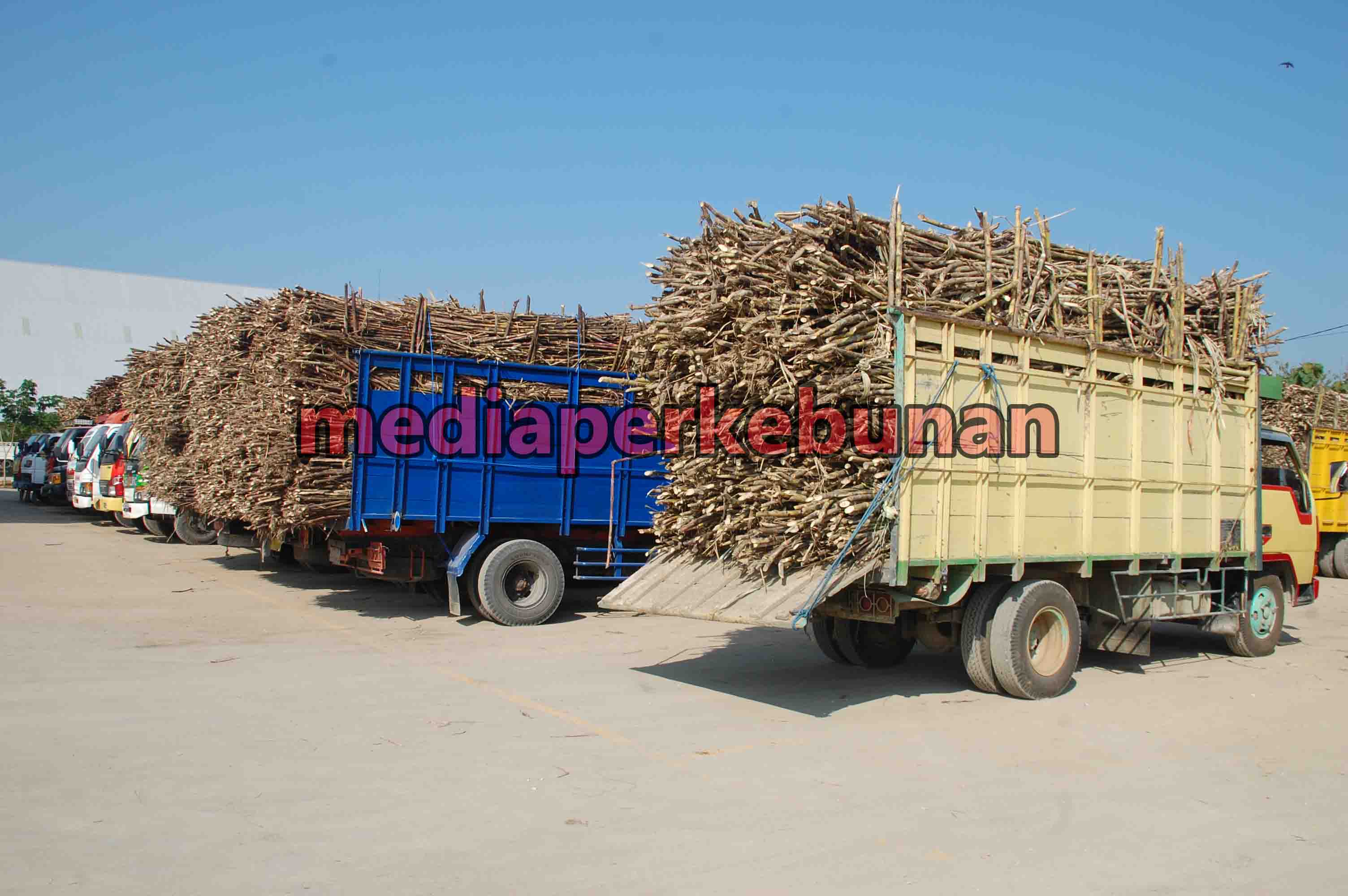 Ditengah Pandemi Industri Gula  Tetap Berproduksi