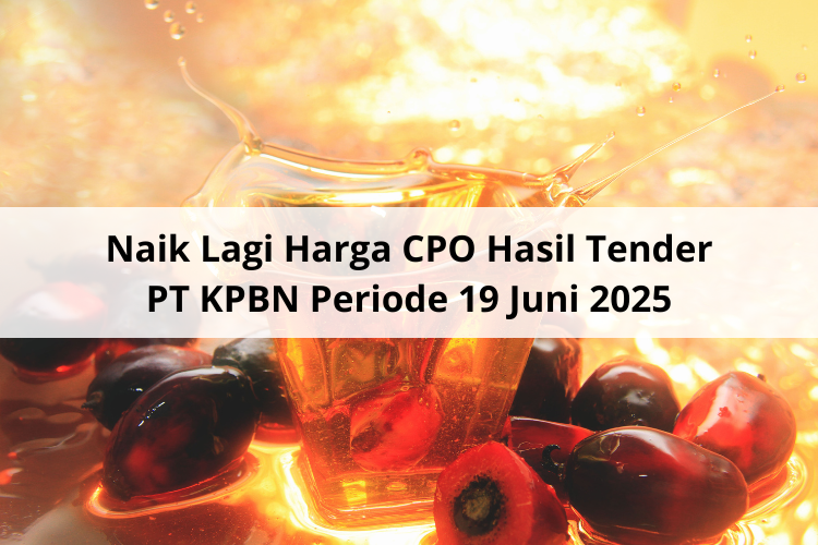 Naik Lagi Harga CPO Hasil Tender PT KPBN Periode 19 Juni 2025