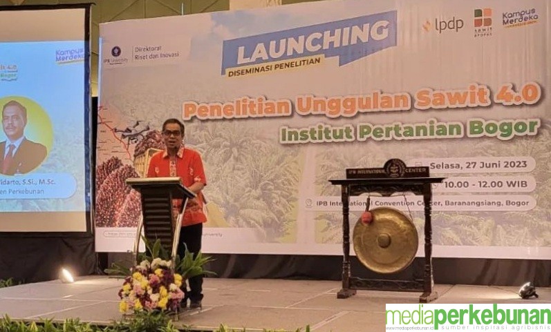 Pemetaan Sawit Rakyat Penting Dilakukan
