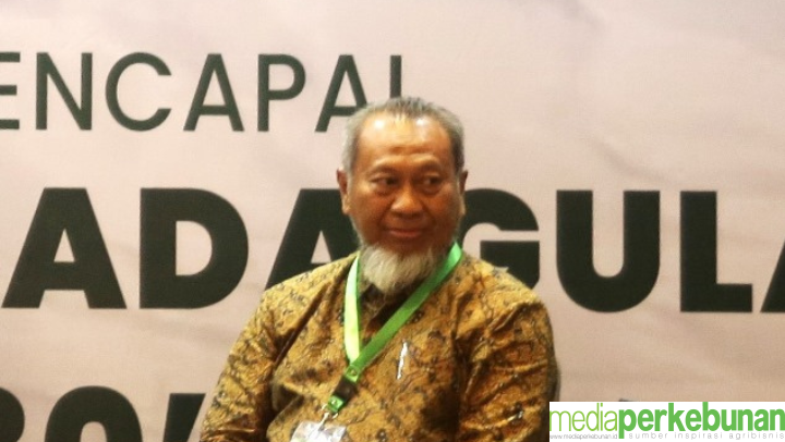 Begini Syarat Tercapainya Swasembada Gula