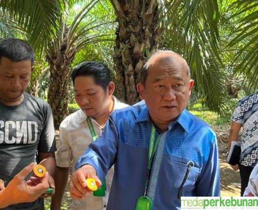 POPSI : TANGKAL RESESI BANTU PETANI SAWIT