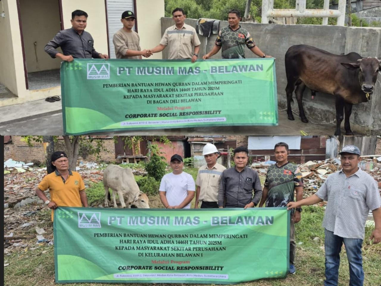 Musim Mas Salurkan Ratusan Sapi dan Puluhan Kambing untuk Rayakan Idul Adha 1446 H