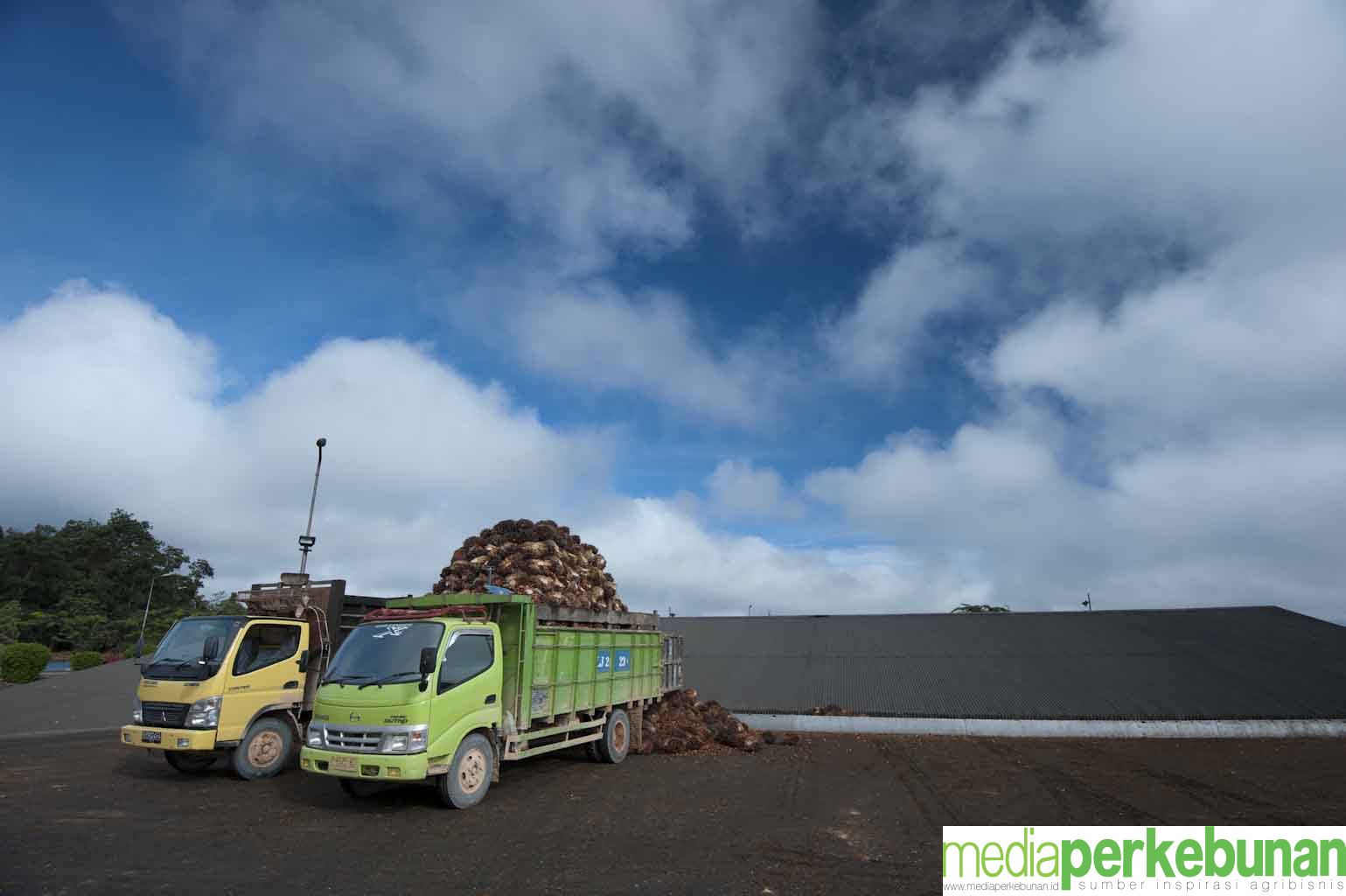 Kuartal 1 2024 ,  Keuntungan DSNG Rp229 Miliar