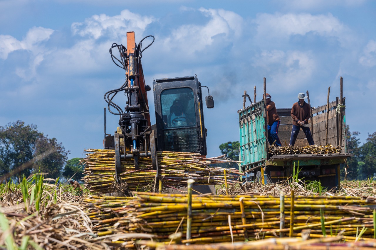 PTPN X Terapkan Empat Strategi Guna Capai 4,2 Juta Ton Tebu Digiling