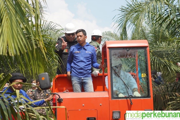 Panen Perdana Program PSR di Ogan