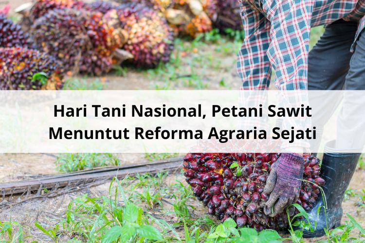 Hari Tani Nasional, Petani Sawit Menuntut Reforma Agraria Sejati untuk Kesejahteraan Petani di Pedesaan