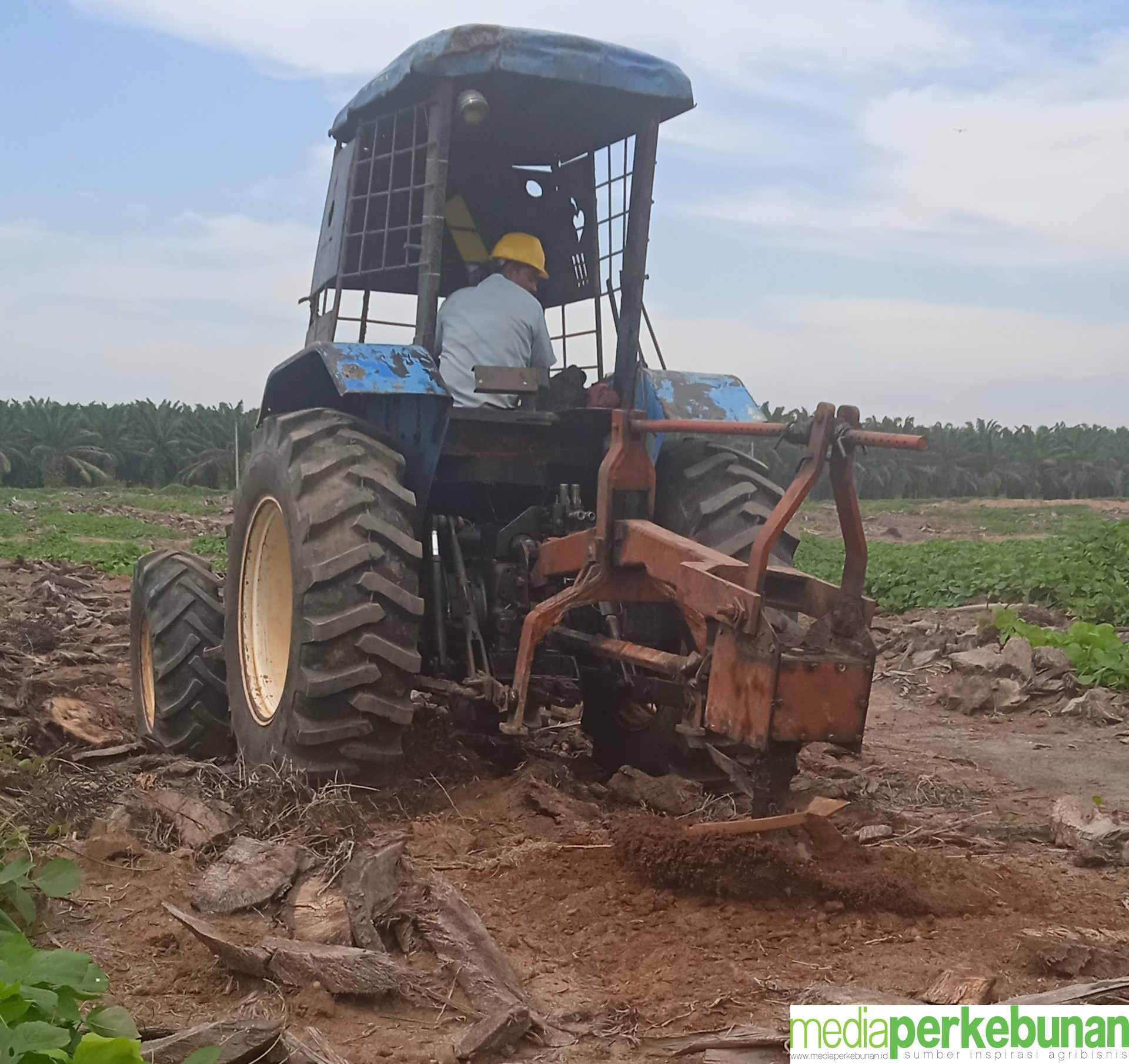 10.154 HA PLASMA PALMCO SIAP PSR TAHUN 2024