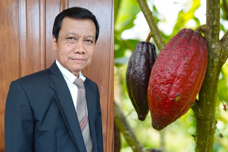 Soetanto Abdoellah: Kakao Indonesia Bisa Mendominasi Pasar Global, Ini Syaratnya!