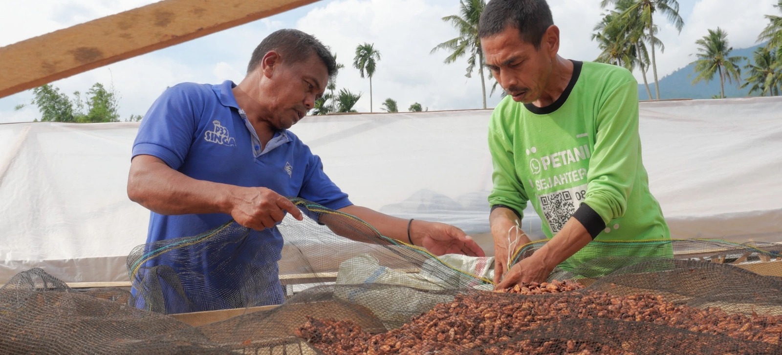 KOLTIVA Kerjasama dengan SUGATA dan AI Singapura Luncurkan Traceability Kopi dan Kakao Berbasis AI di Aceh