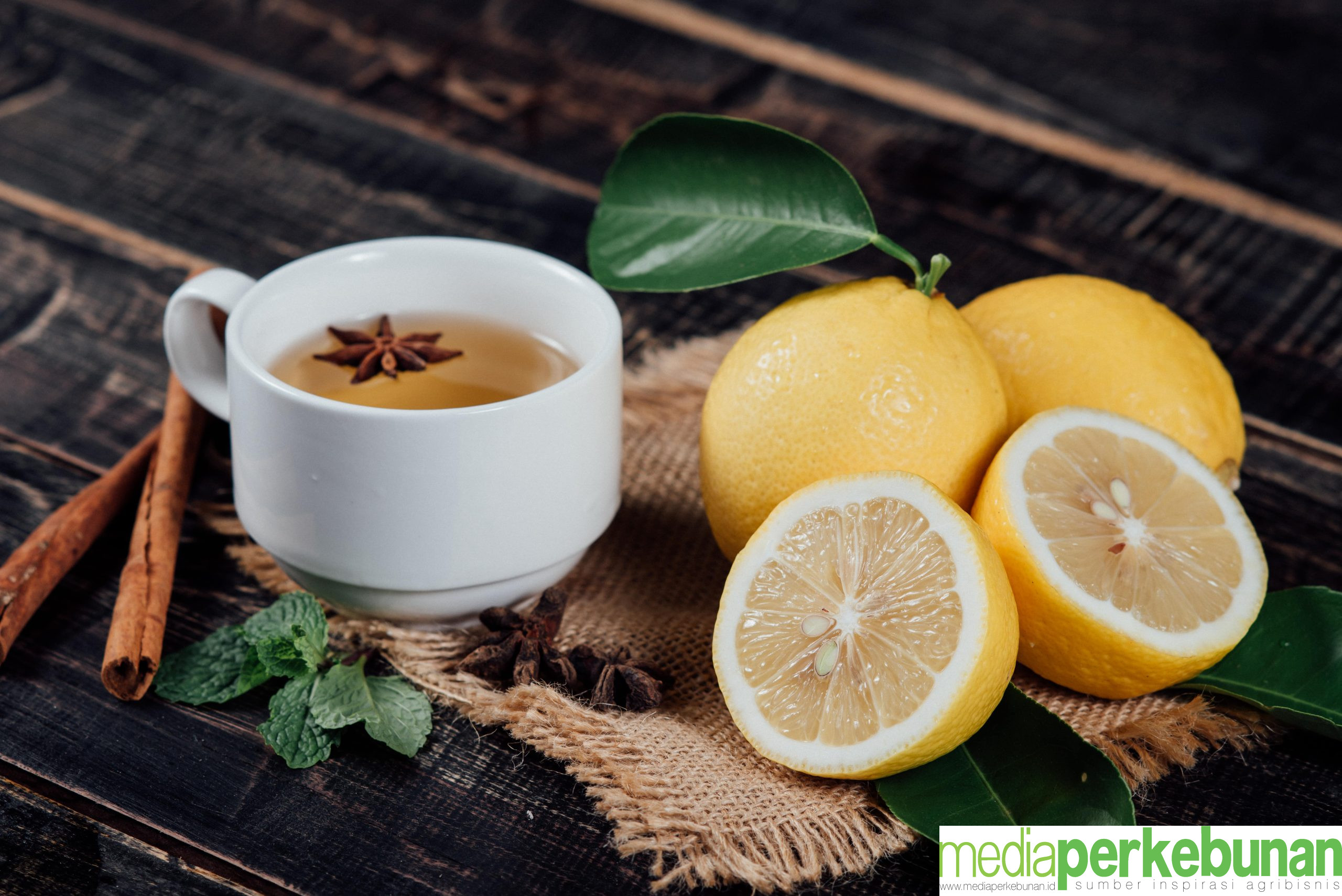 <strong>Resep Kopi Lemon untuk Diet Tenyata Hoax: Begini Faktaknya</strong>
