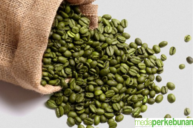 <strong>Mengenal Green Coffee: Kopi Sehat yang Bagus untuk Diet</strong>