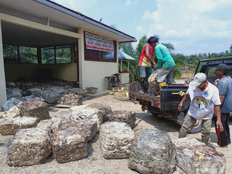 Sinergisitas Pemerintah Pusat, Pemda dan BI Dorong Hilirsasi Karet