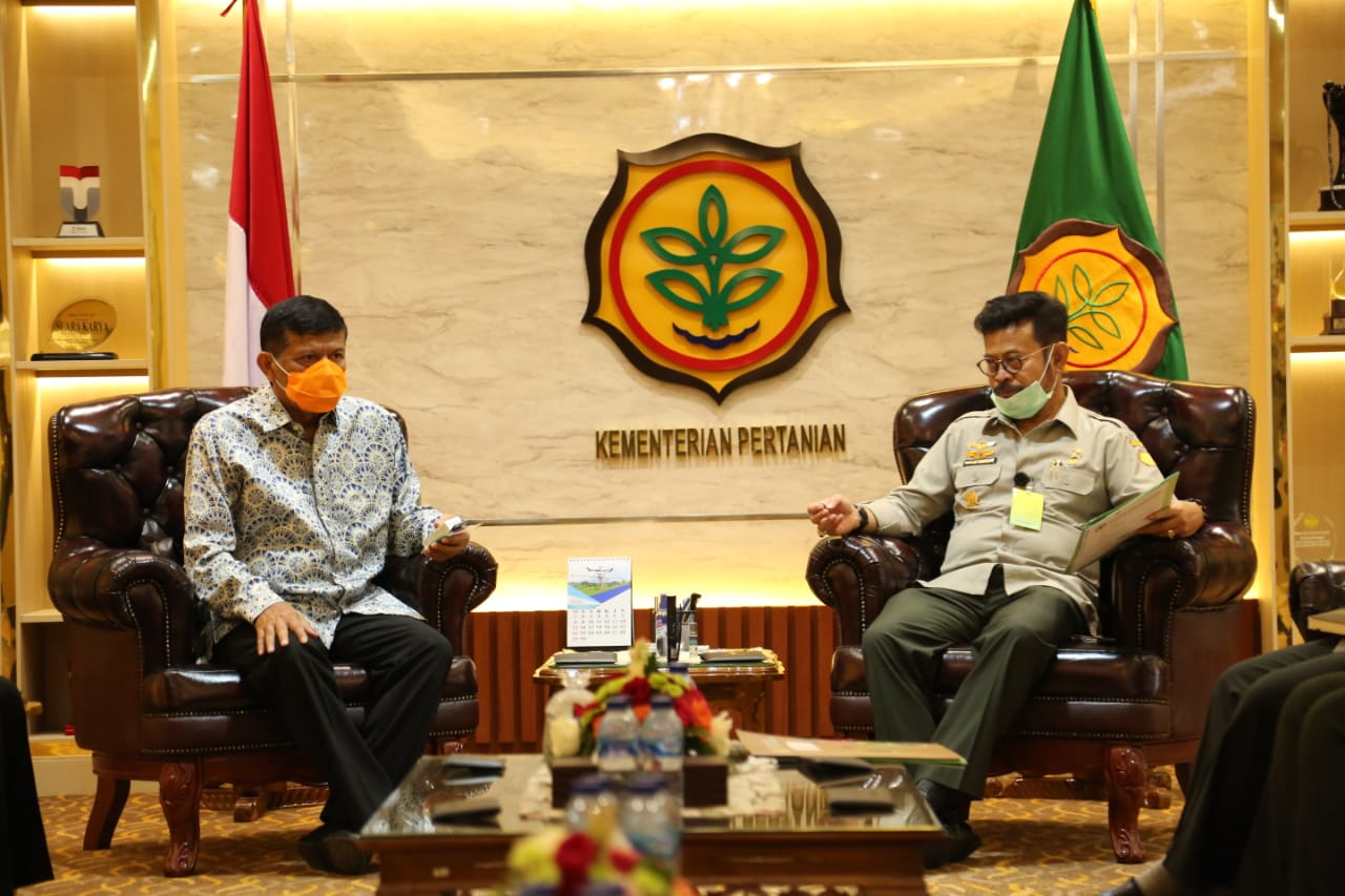 Kementan dan Asosiasi Dorong Budidaya dan Ekspor Aren Indonesia