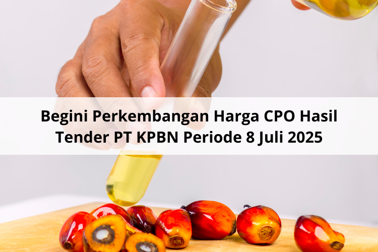 Begini Perkembangan Harga CPO Hasil Tender PT KPBN Periode 8 Juli 2025