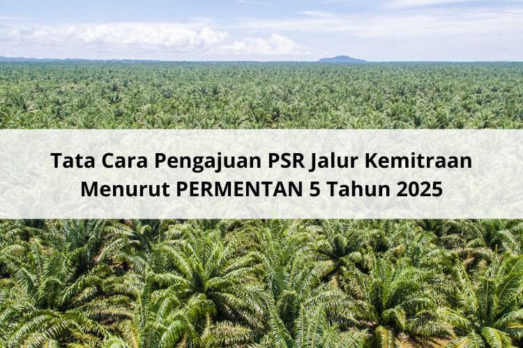 Tata Cara Pengajuan PSR Jalur Kemitraan Menurut PERMENTAN 5 Tahun 2025