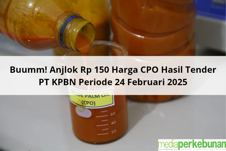 Buumm! Anjlok Rp 150 Harga CPO Hasil Tender PT KPBN Periode 24 Februari 2025